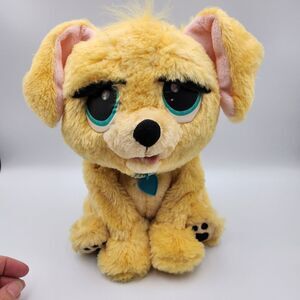 Rare Golden Rescue Pets Puppy